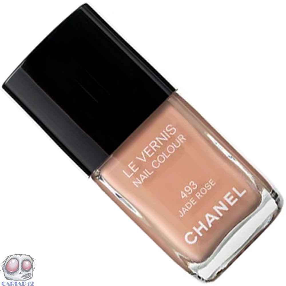 Chanel Le Vernis Nail 493 Color (0.4oz)